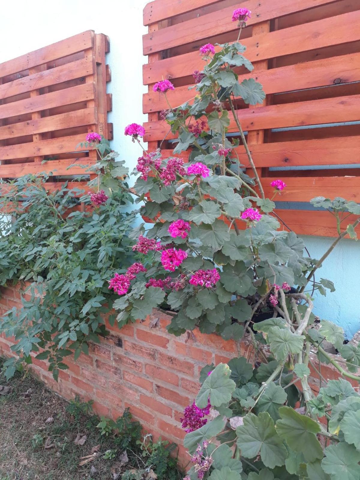 Chacara Recanto Suico Piracicaba Villa Bagian luar foto